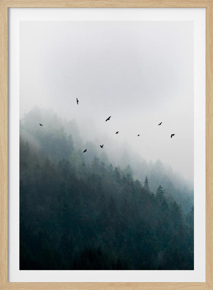 Nebliger Morgen 4 | Poster