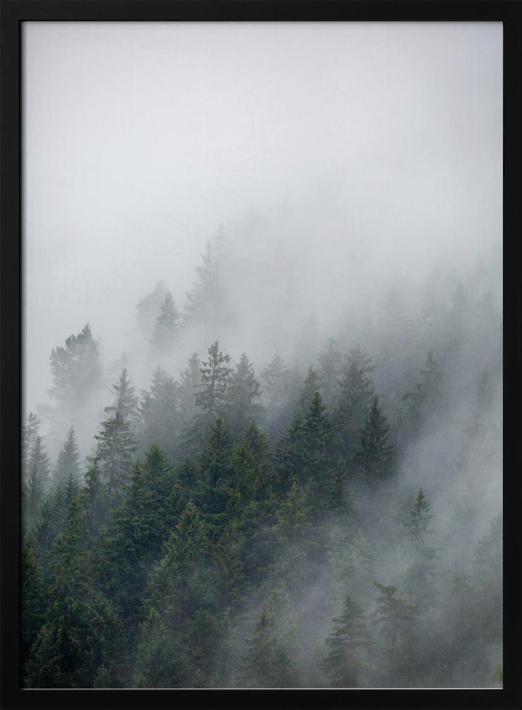 Nebliger Morgen 2 | Poster