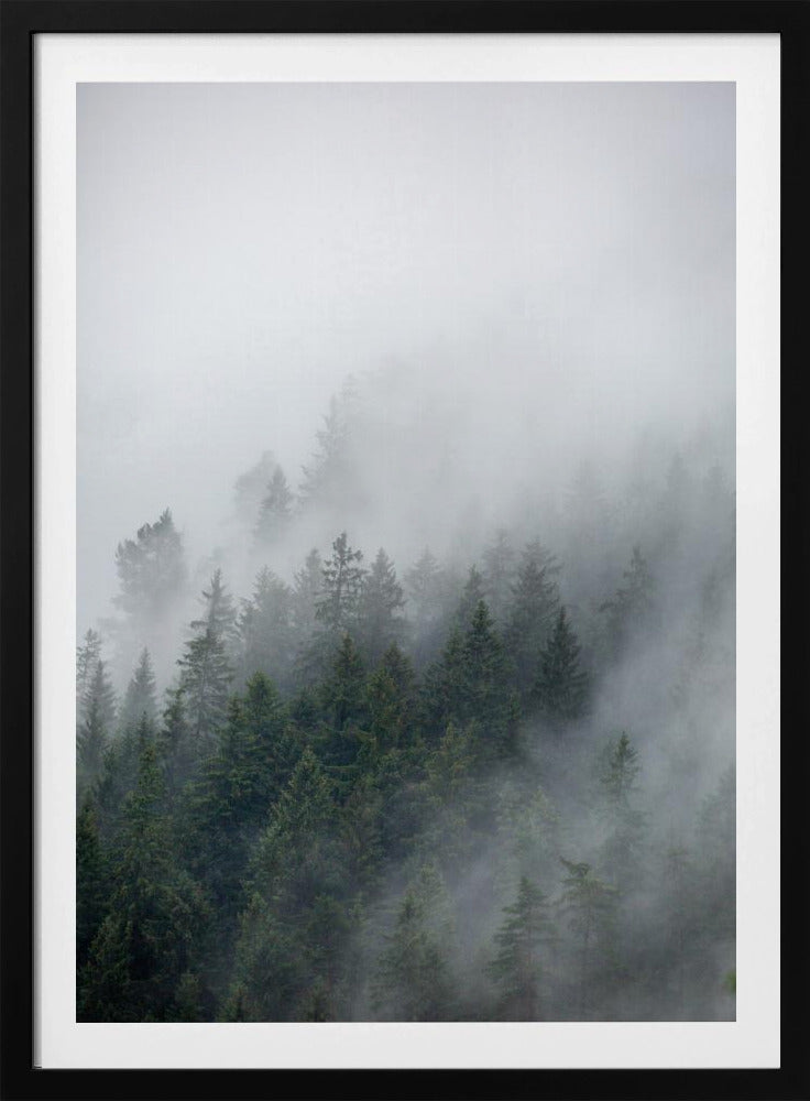 Nebliger Morgen 2 | Poster