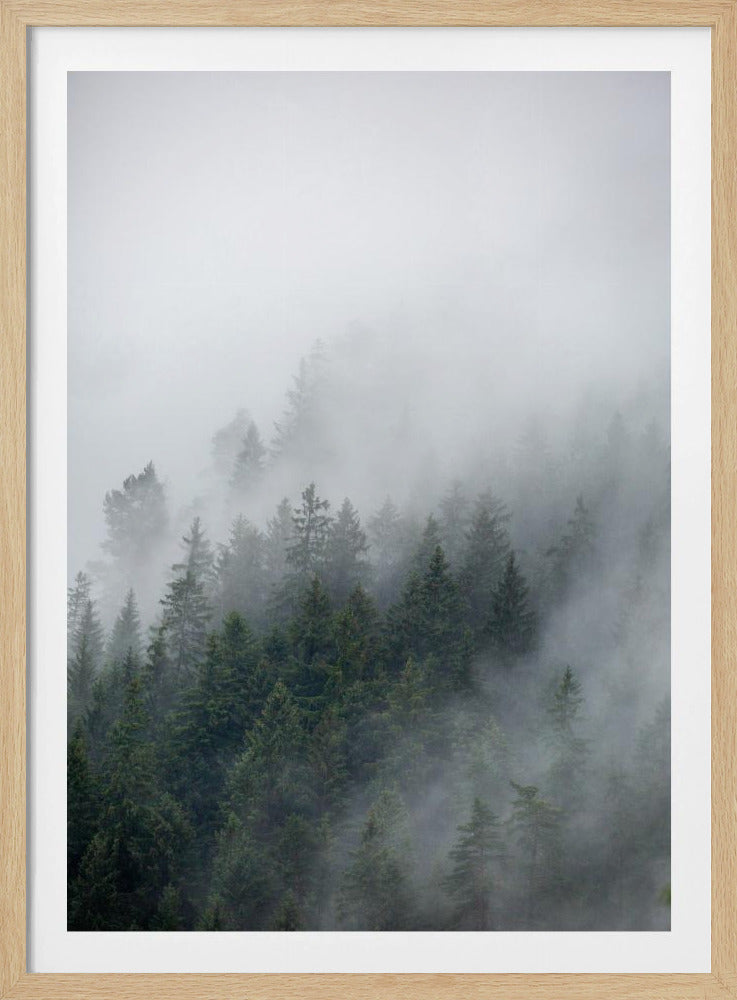 Nebliger Morgen 2 | Poster