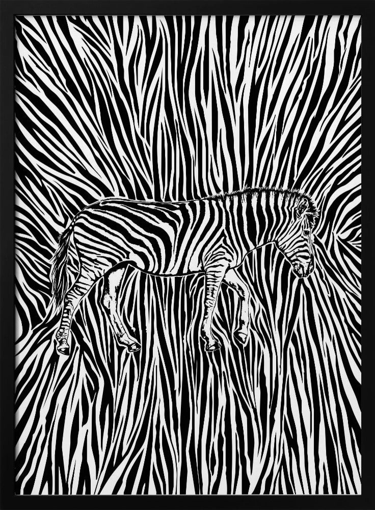 Afrikanisches Zebra gestreifte Tarnung | Poster