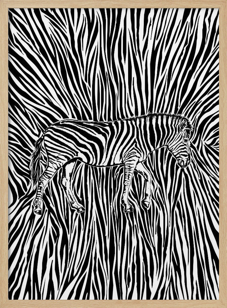 Afrikanisches Zebra gestreifte Tarnung | Poster