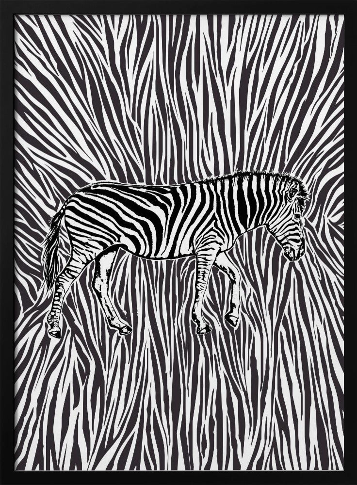 Afrikanisches Zebra mit auffälliger Tarnung | Poster