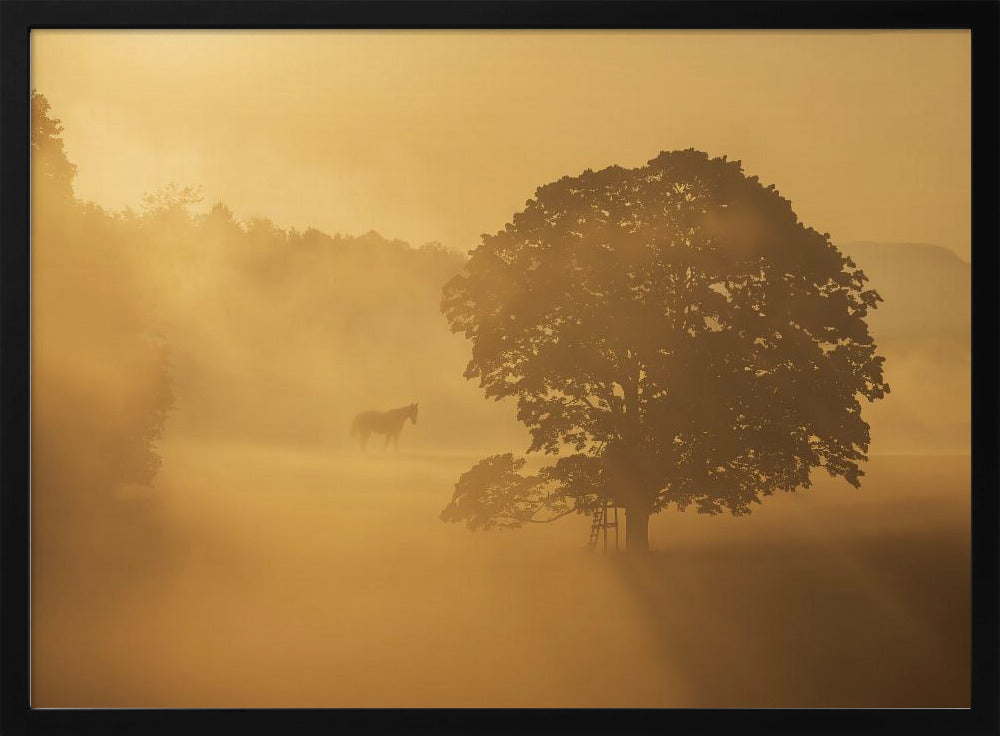 Herbstmorgen | Poster