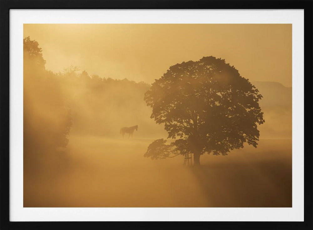 Herbstmorgen | Poster