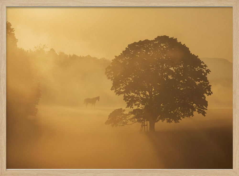 Herbstmorgen | Poster