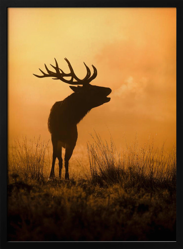 Morgenruf | Poster