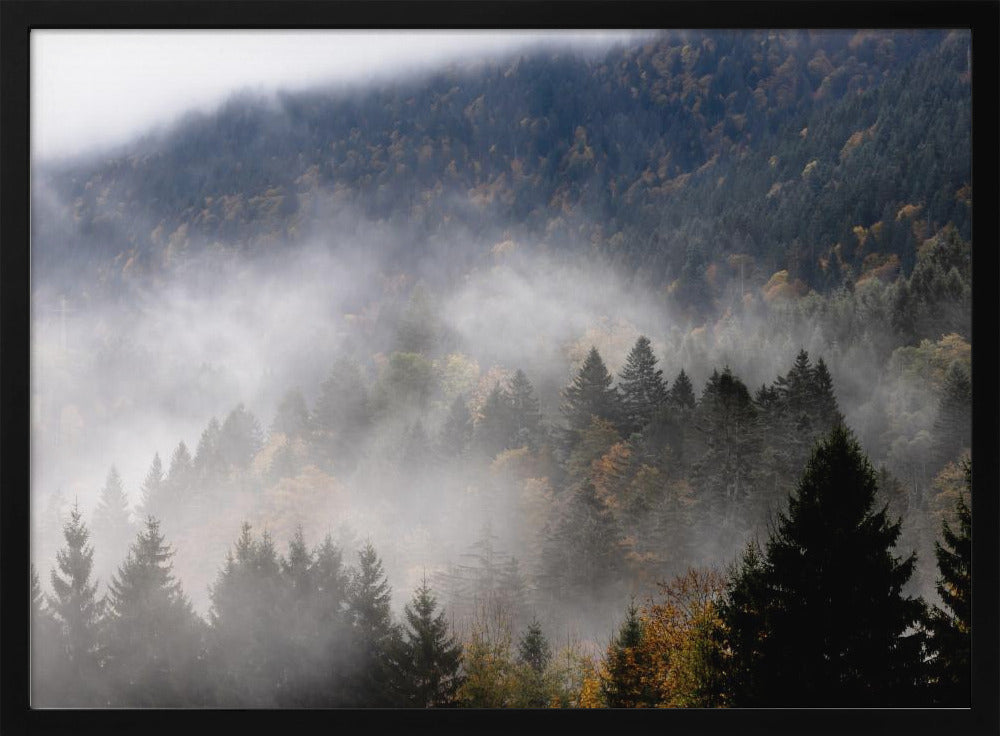 Nebliger Wald 9 | Poster