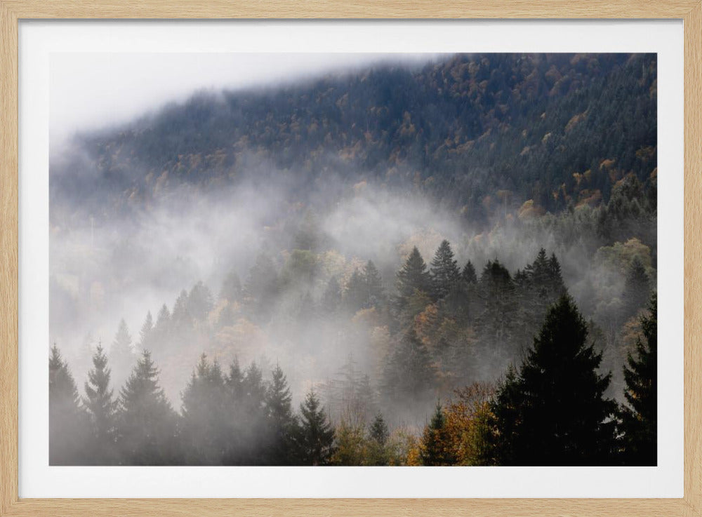 Nebliger Wald 9 | Poster