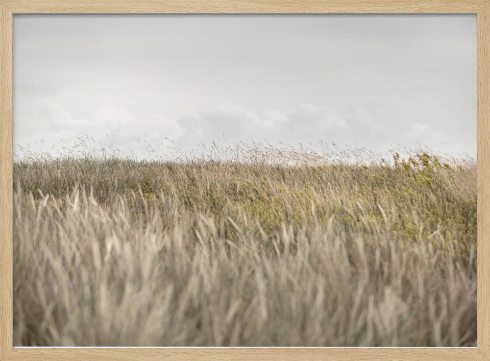 Dünen und Wolken 2 | Poster