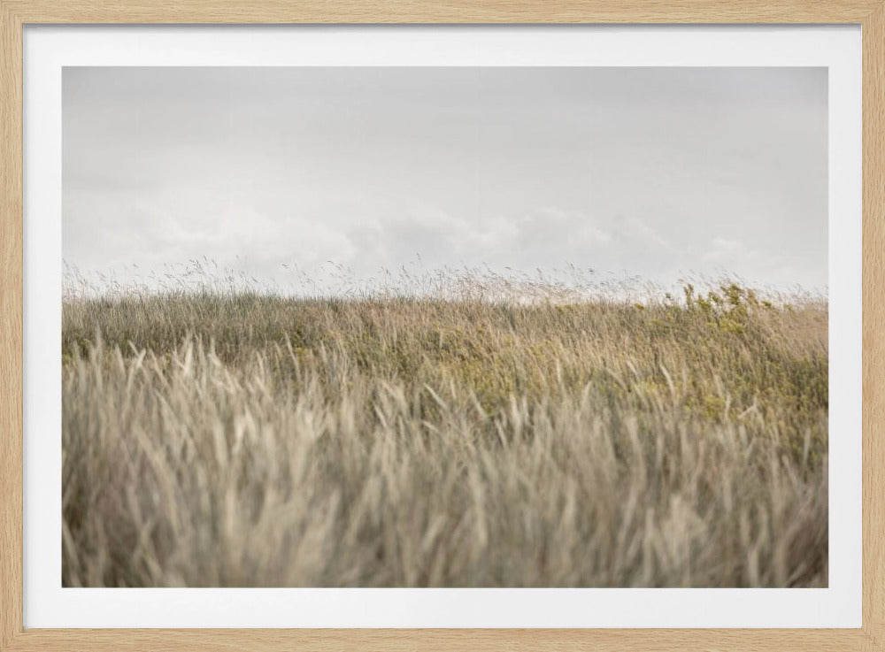 Dünen und Wolken 2 | Poster
