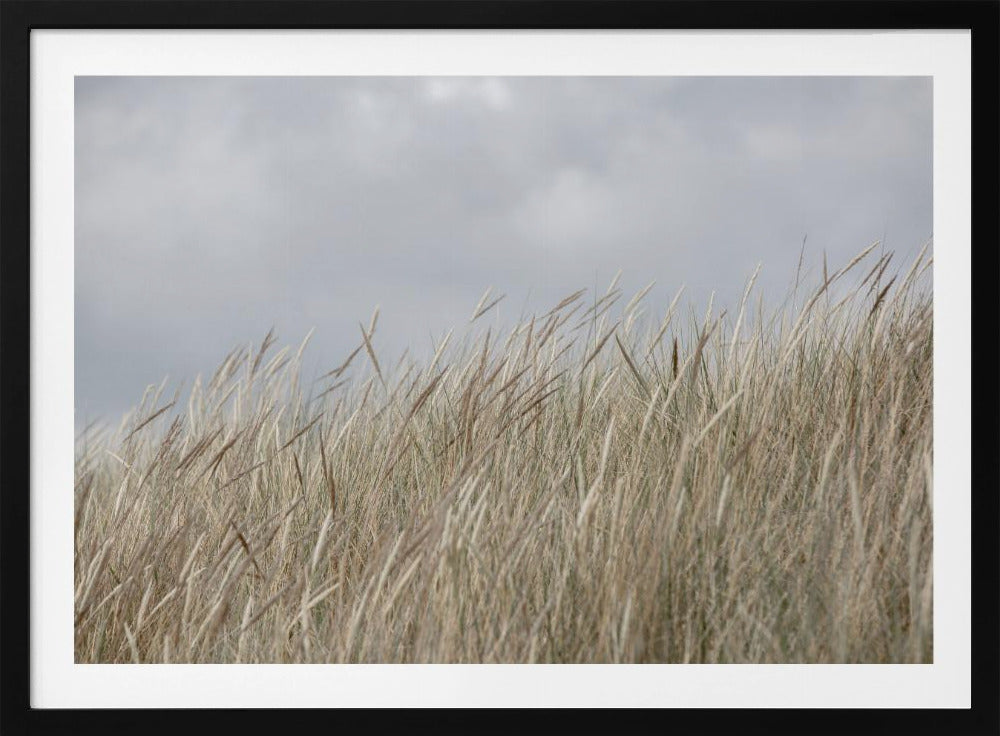 Dünen und Wolken | Poster
