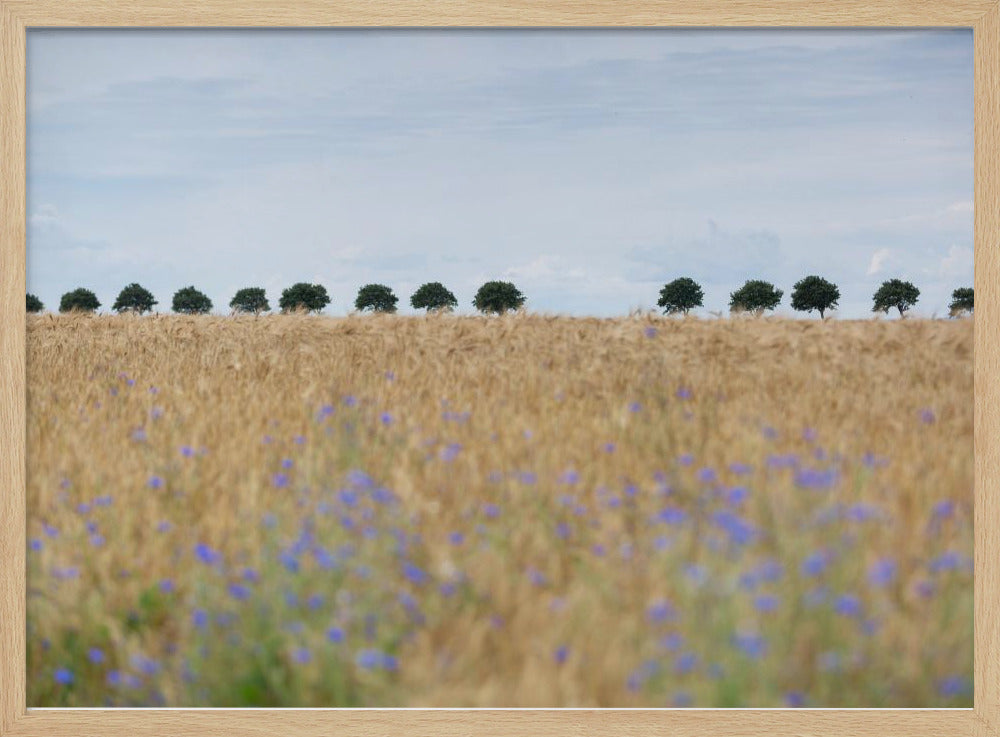 Nordische Momente 4 | Poster