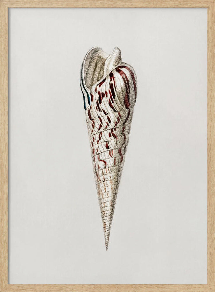 Weichtier-Ernte III | Poster