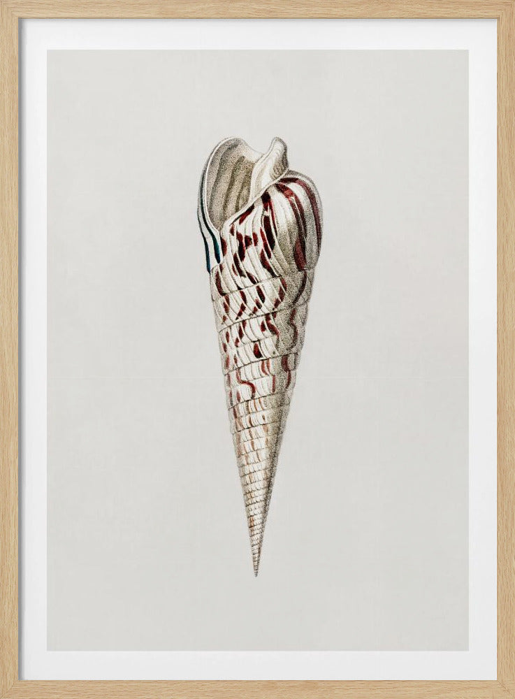 Weichtier-Ernte III | Poster