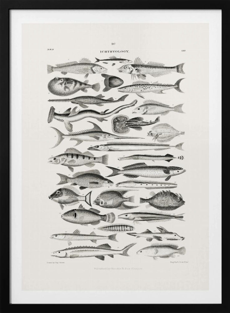 Meerestiere I | Poster