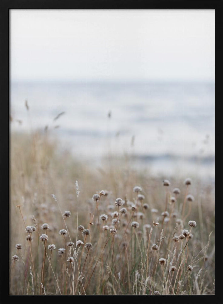 Coast Landscapes 4 | Poster