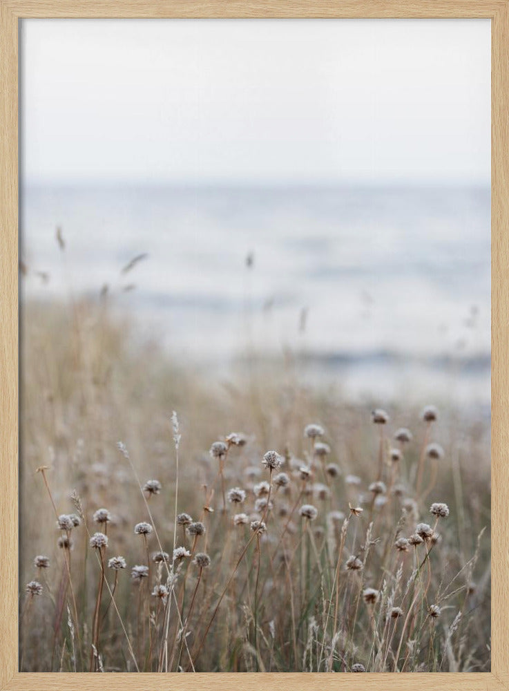 Coast Landscapes 4 | Poster