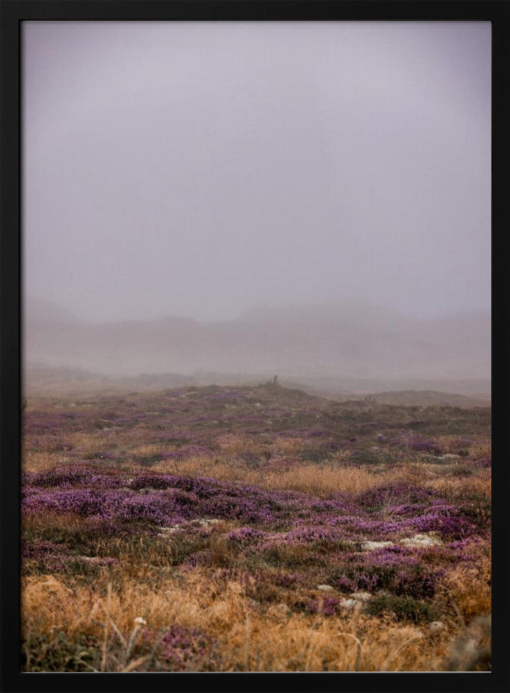 Dünen 1 | Poster