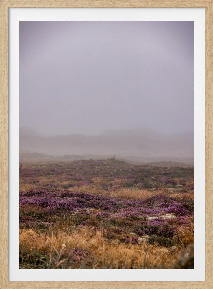 Dünen 1 | Poster