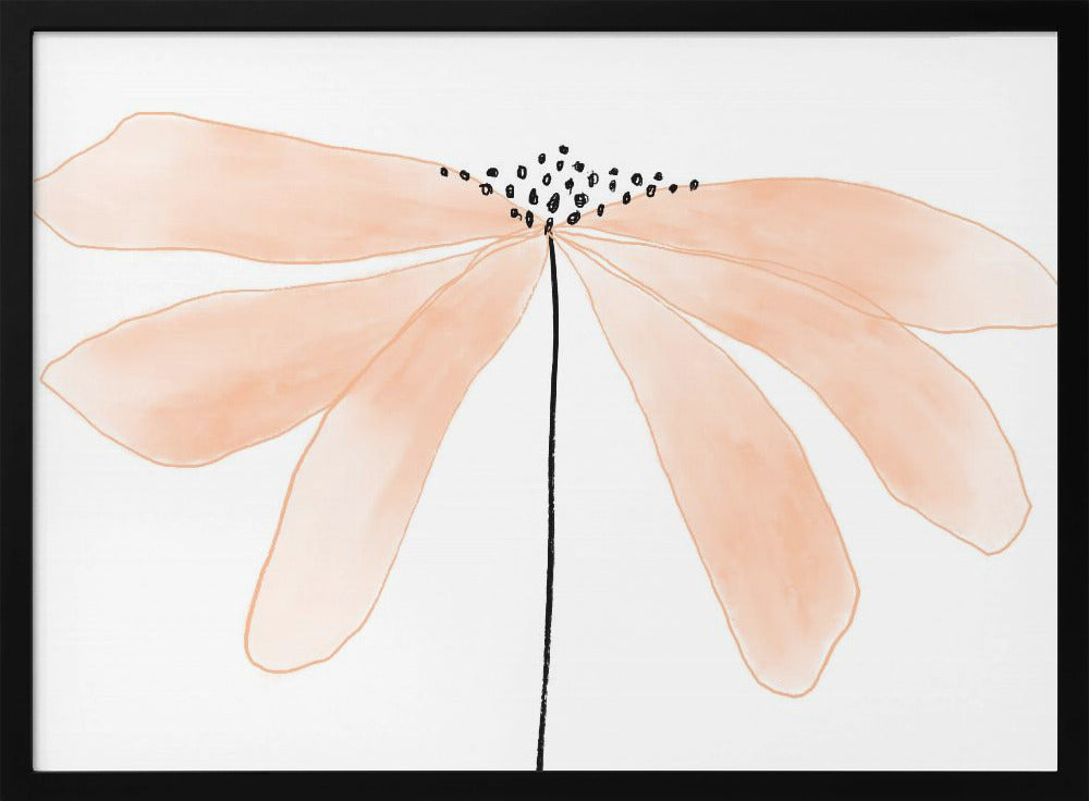 Zarte pfirsichfarbene Blume mit Blütenblättern | Poster
