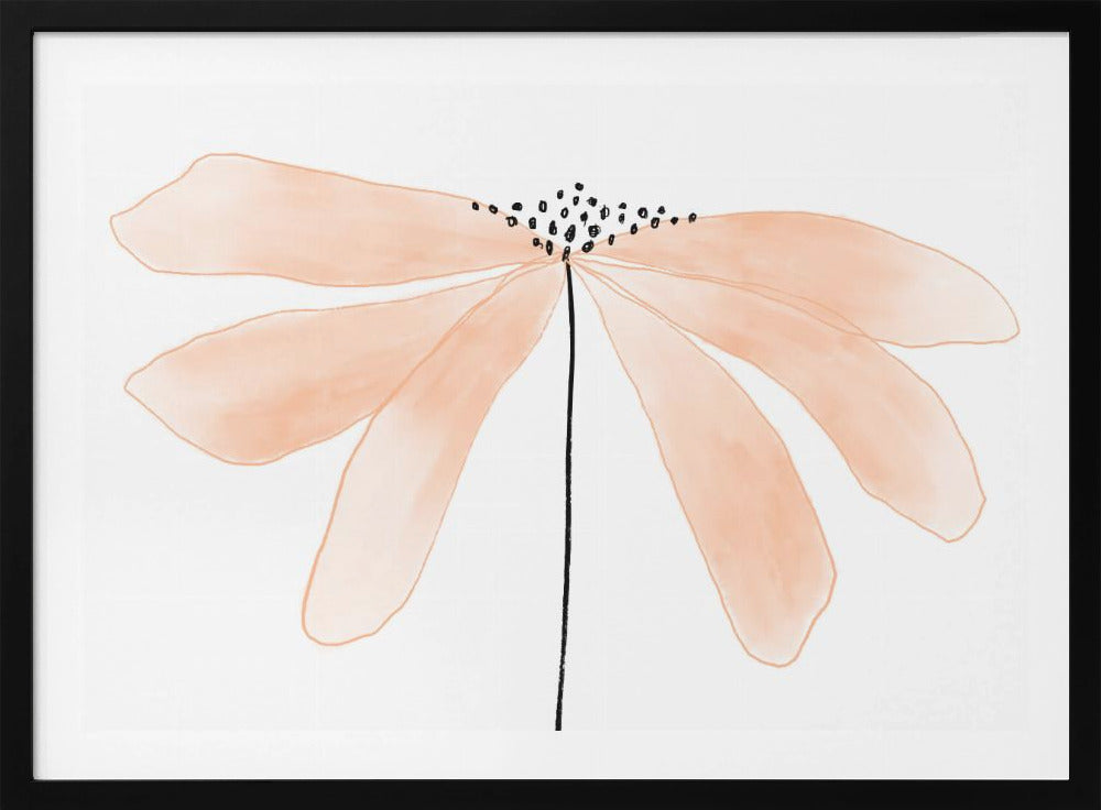 Zarte pfirsichfarbene Blume mit Blütenblättern | Poster