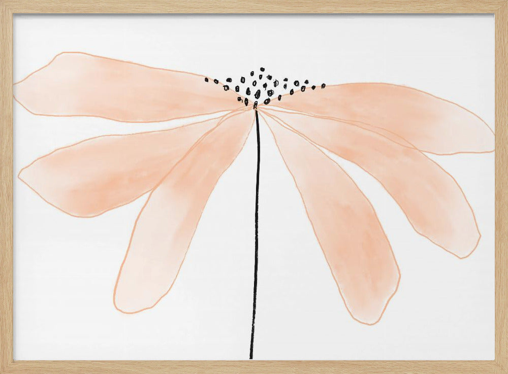 Zarte pfirsichfarbene Blume mit Blütenblättern | Poster