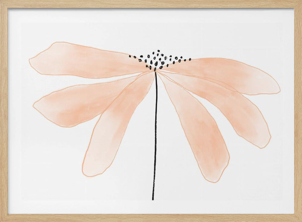 Zarte pfirsichfarbene Blume mit Blütenblättern | Poster