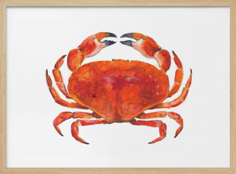 Realistische rote Krabbe | Poster