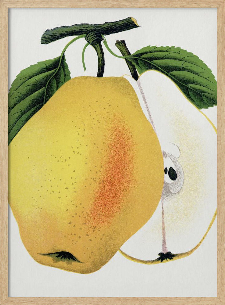 Kiefers Hybridbirnen-Lithografie | Poster