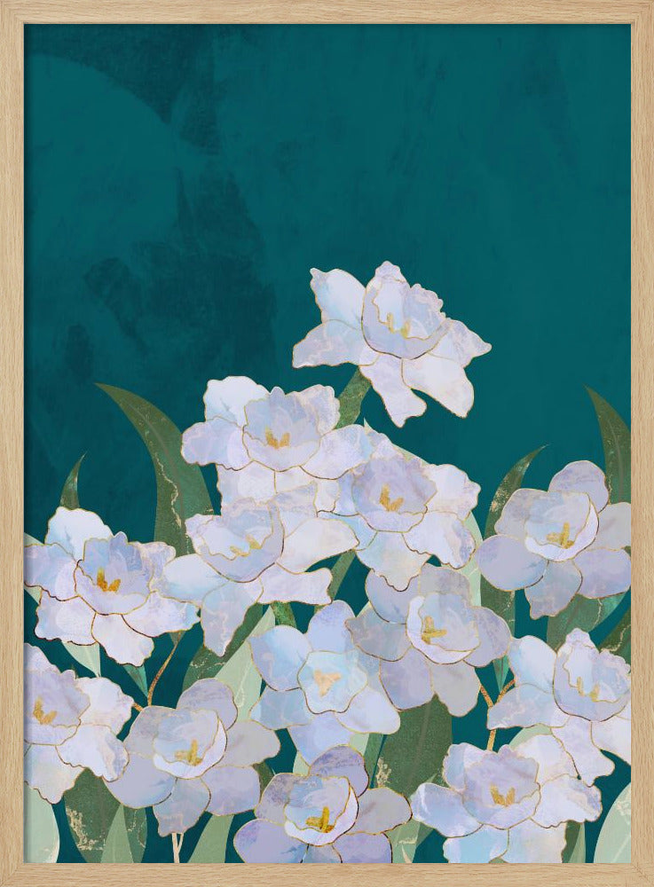 Narzissenblüten Türkis | Poster