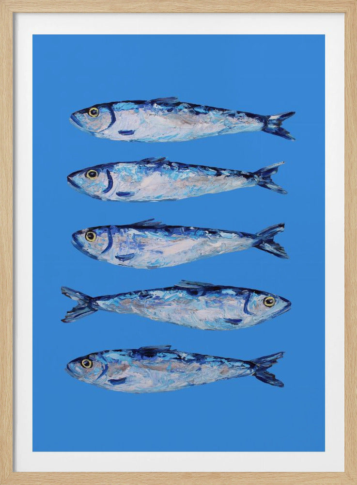 Sardinen auf Blau | Poster