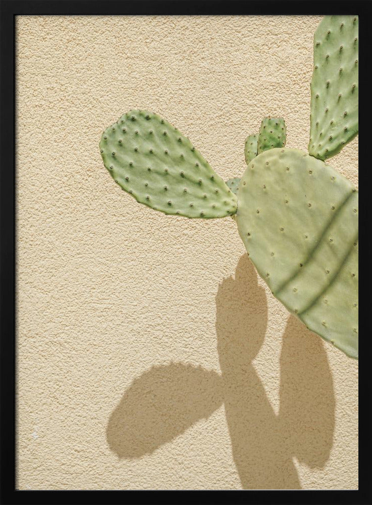 Kakteen-Schattenspiel | Poster