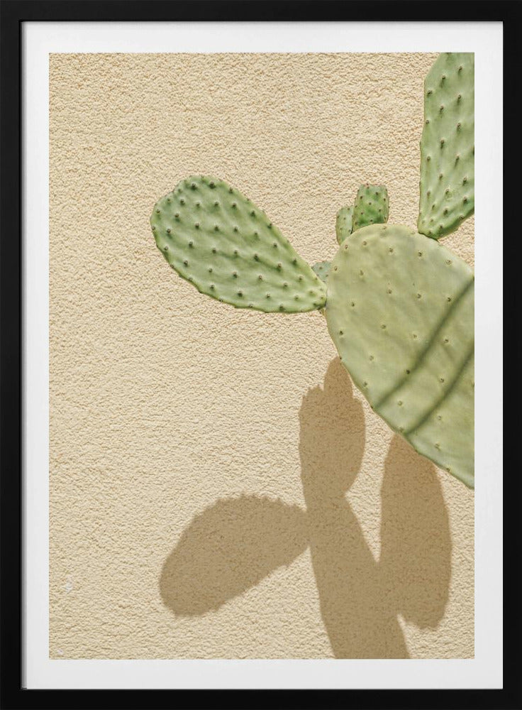 Kakteen-Schattenspiel | Poster