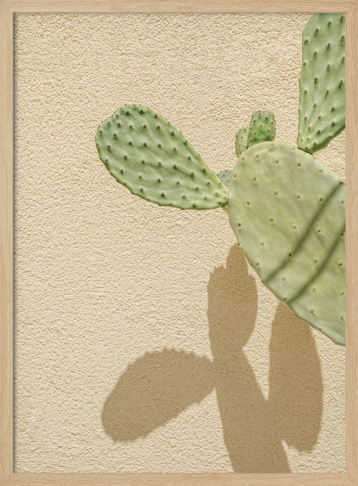 Kakteen-Schattenspiel | Poster