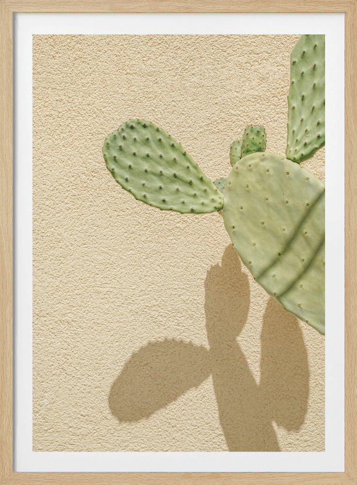 Kakteen-Schattenspiel | Poster