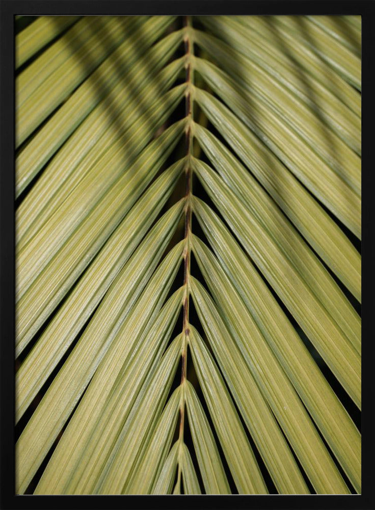 Tropisches Blatt | Poster