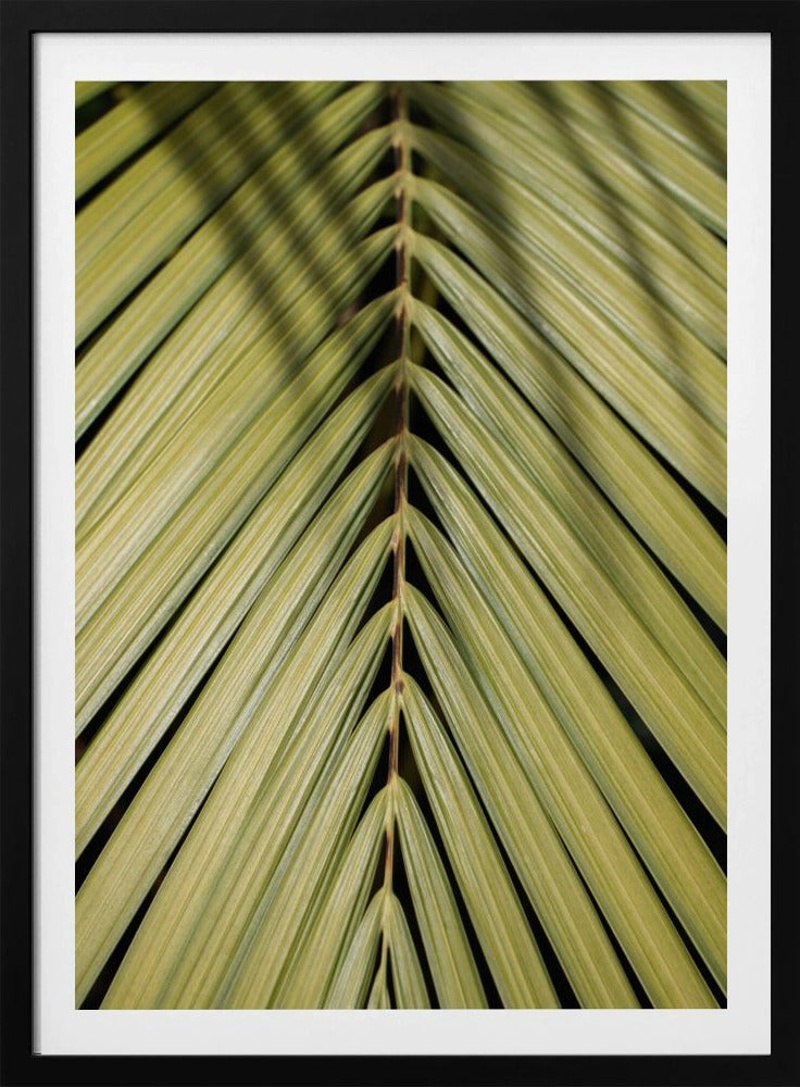 Tropisches Blatt | Poster