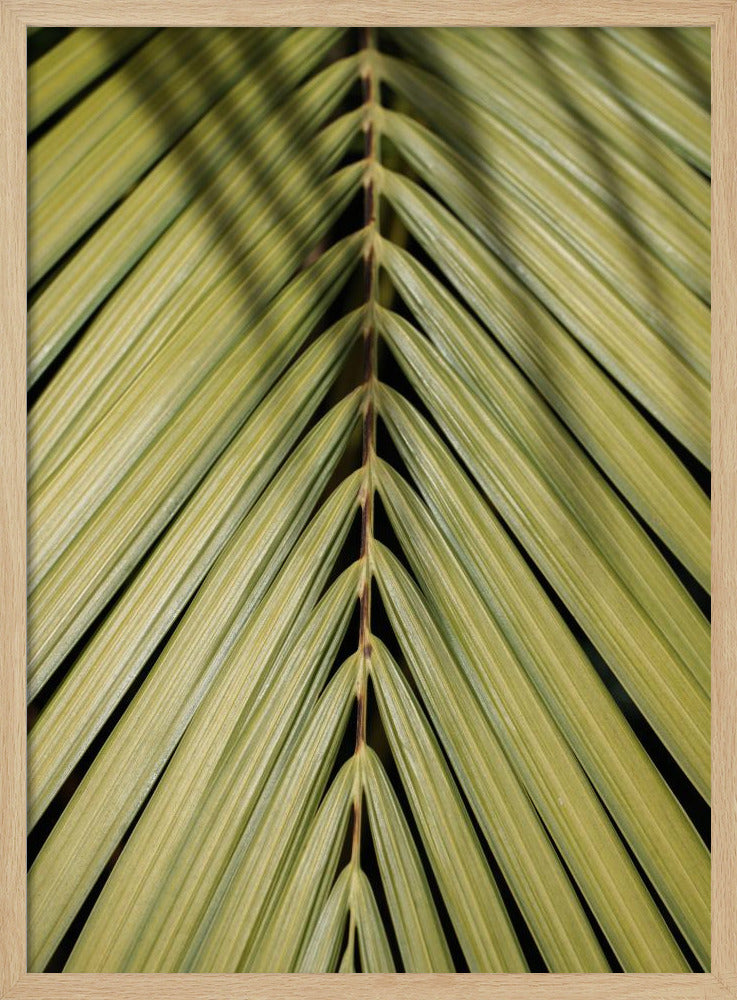 Tropisches Blatt | Poster