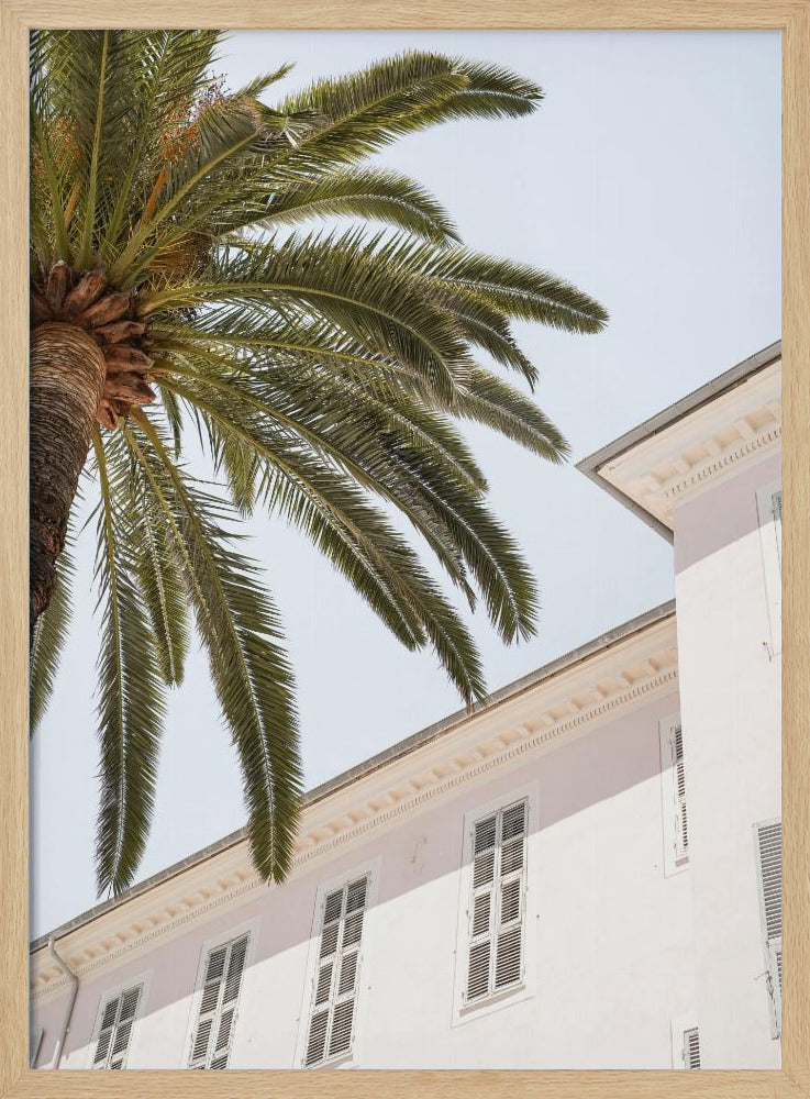 Tropisches Menton | Poster