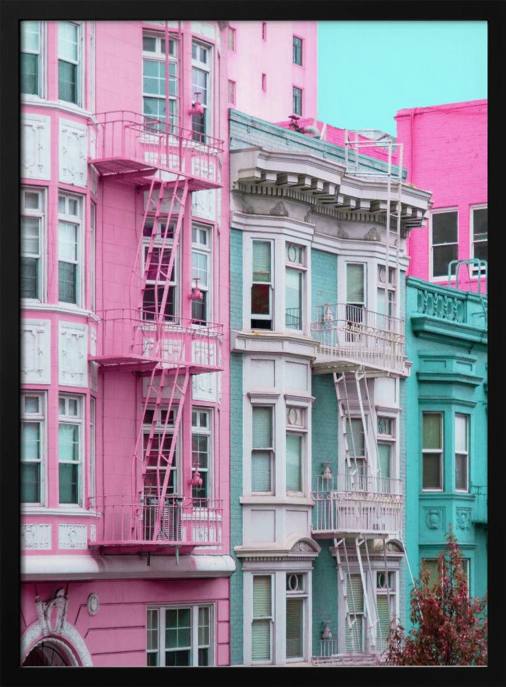 Rosa und blaue Reihenhäuser in San Francisco | Poster