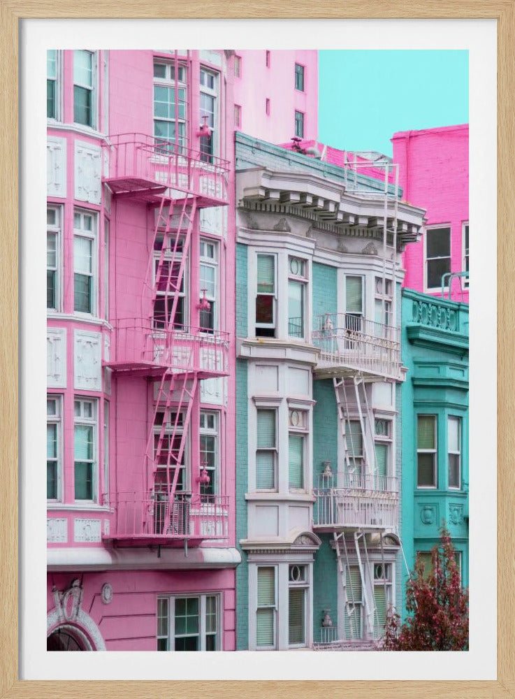 Rosa und blaue Reihenhäuser in San Francisco | Poster