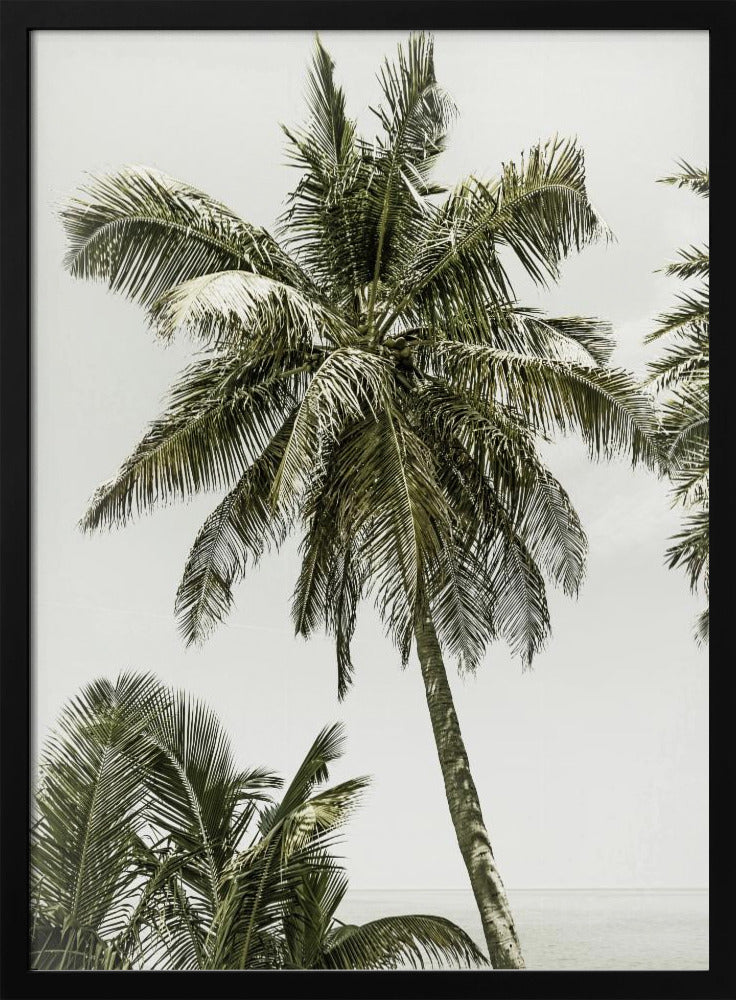 Palmen am Meer | Vintage | Poster