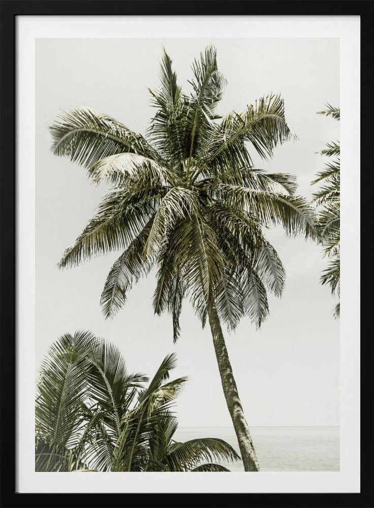 Palmen am Meer | Vintage | Poster