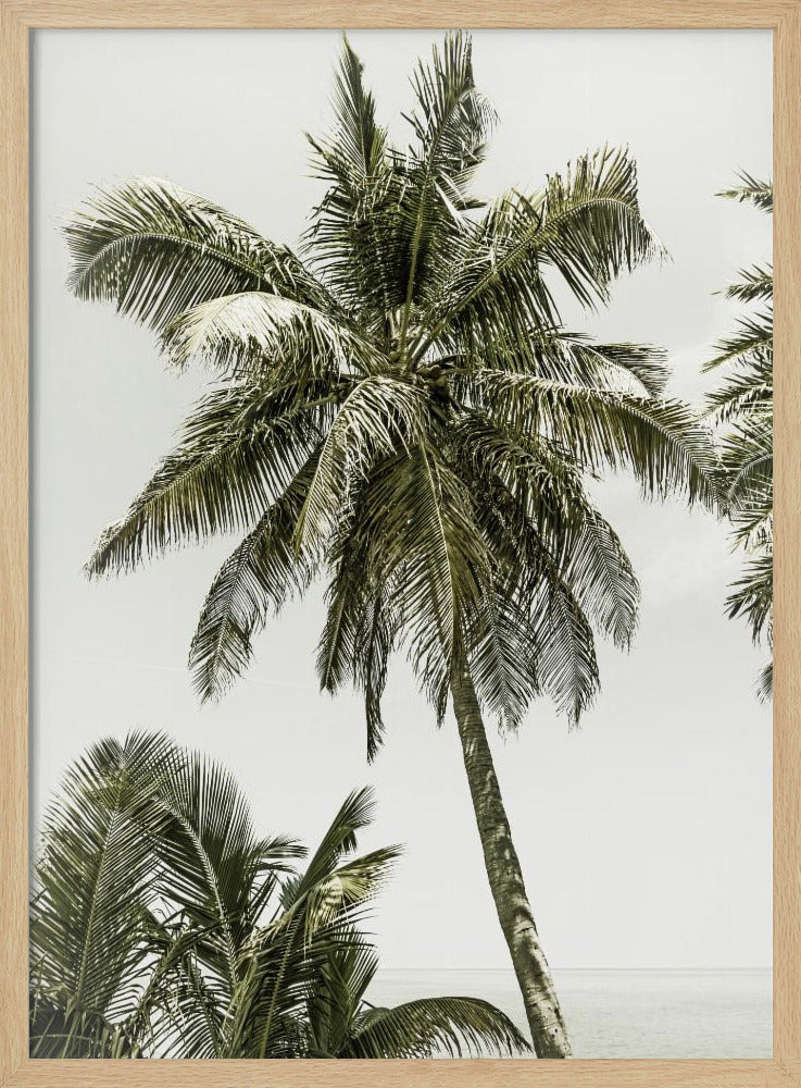 Palmen am Meer | Vintage | Poster