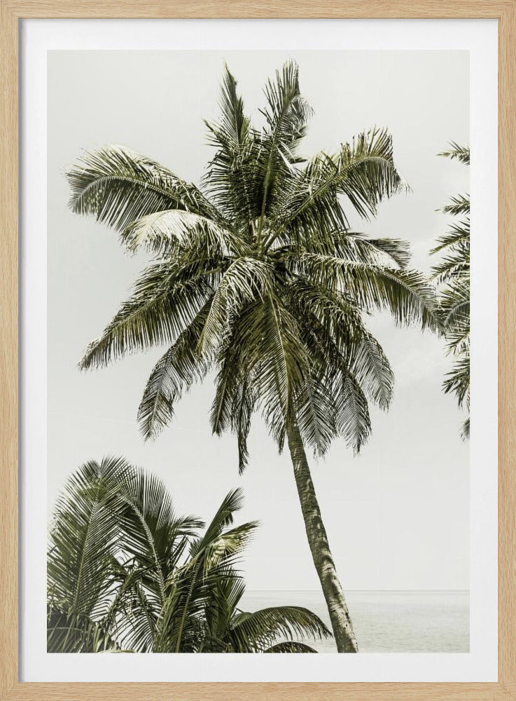 Palmen am Meer | Vintage | Poster