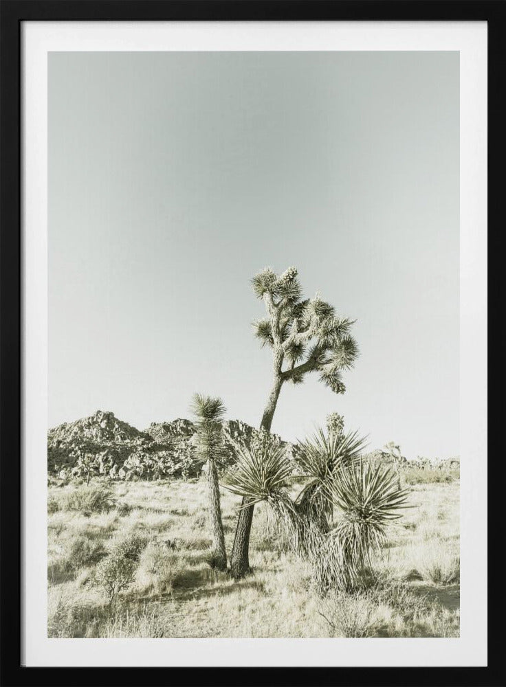 Joshua Tree Nationalpark Vintage-Impression | Poster