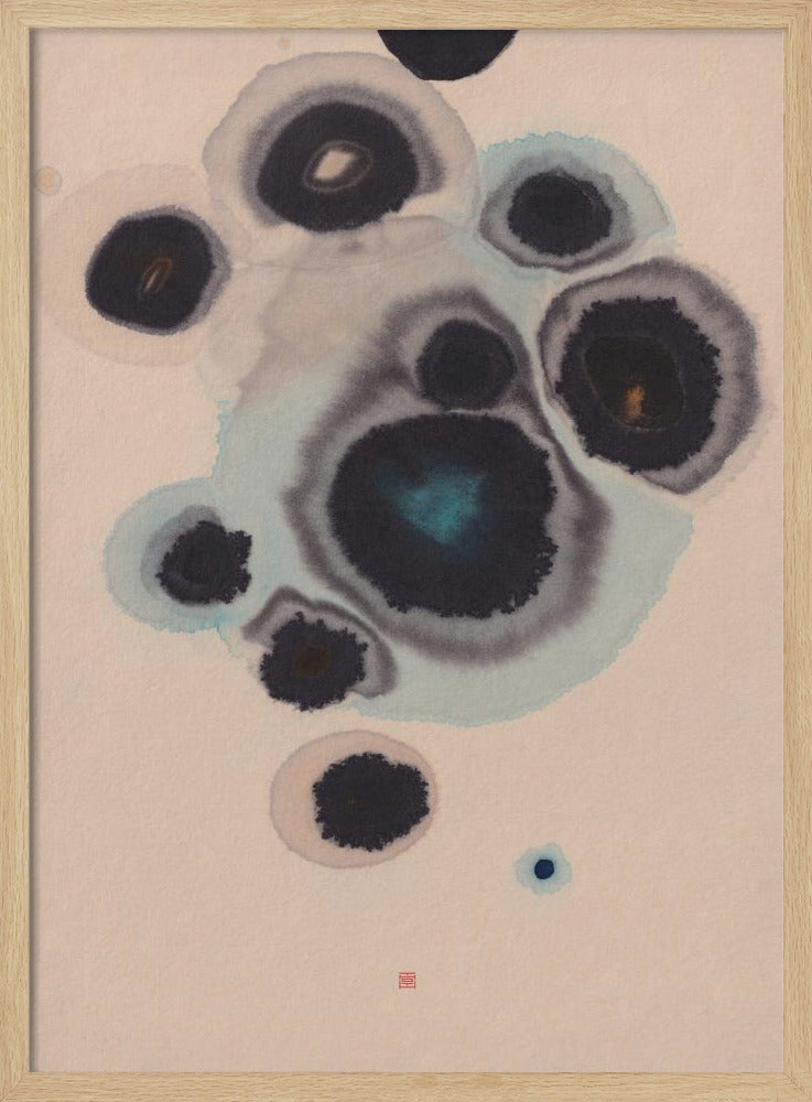 Studie Nr. 10 | Lebende Steine | Poster