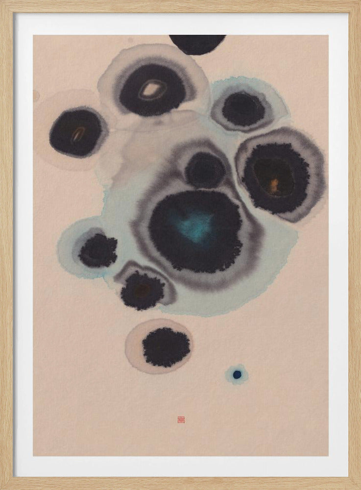 Studie Nr. 10 | Lebende Steine | Poster