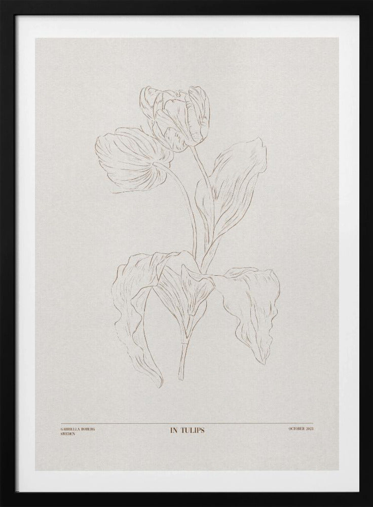 In Tulpen (braun) | Poster